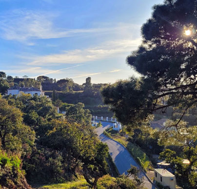 Expansive views - PLOT La Zagaleta | Henger Immobilien Real Estate