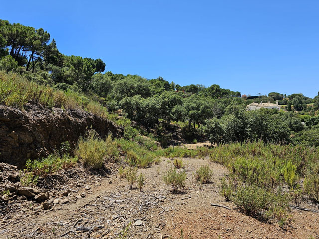 01 For sale: Land Plot in La Zagaleta | Henger Immobilien Real Estate