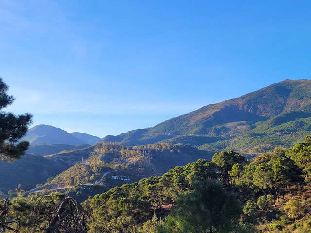 03 For sale: Land Plot in La Zagaleta | Henger Immobilien Real Estate