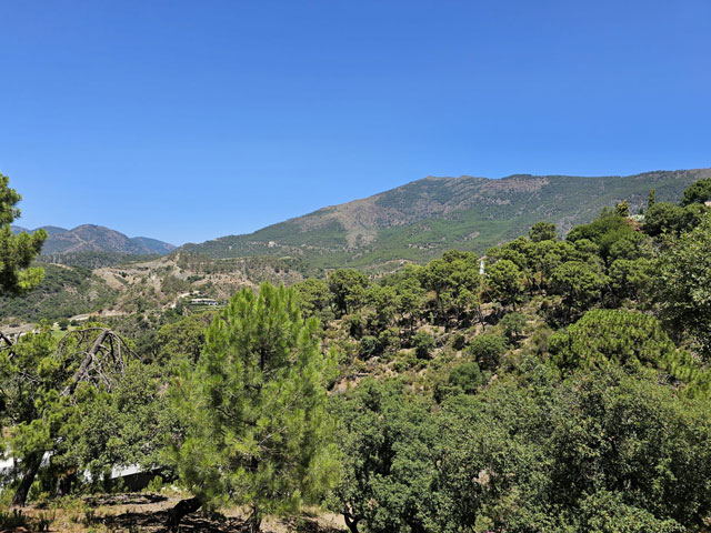 04 For sale: Land Plot in La Zagaleta | Henger Immobilien Real Estate