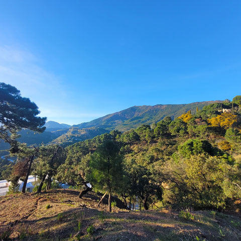 09 For sale: Land Plot in La Zagaleta | Henger Immobilien Real Estate