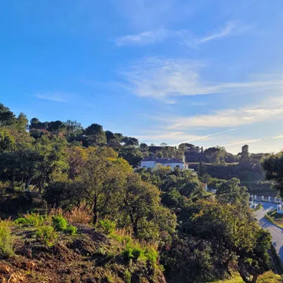 Land, Light & Landscape