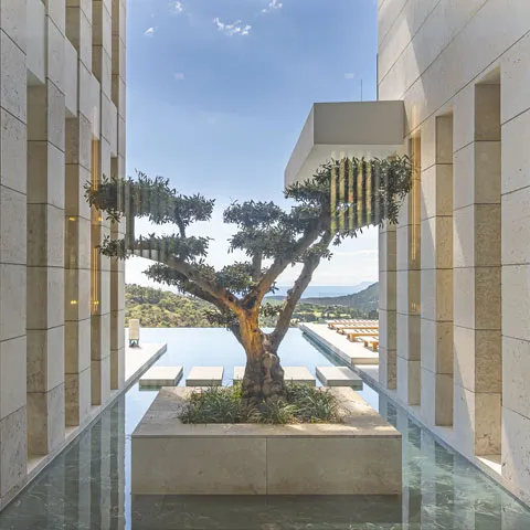 Bonsai garden surrounded by water between architectural pillars at Villa Kaizen, La Zagaleta